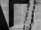 virgen_4